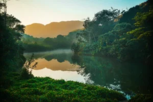 ഇലപൊഴിയാ സ്വർഗ്ഗം- ഗോപൻ അമ്പാട്ട് എഴുതിയ യാത്രവിവരണം Elapozhiya Swargam-Gopan Ambat