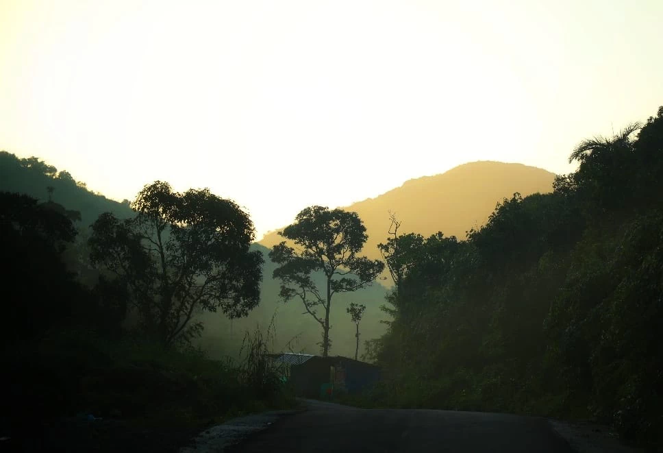 ഇലപൊഴിയാ സ്വർഗ്ഗം-3