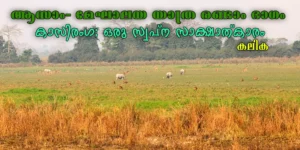 കാസിരംഗ; ഒരു സ്വപ്ന സാക്ഷാത്കാരം/കലിക എഴുതിയ ആസാം- മേഘാലയ യാത്രവിവരണം രണ്ടാം ഭാഗം Inside Of Kaziranga National Park