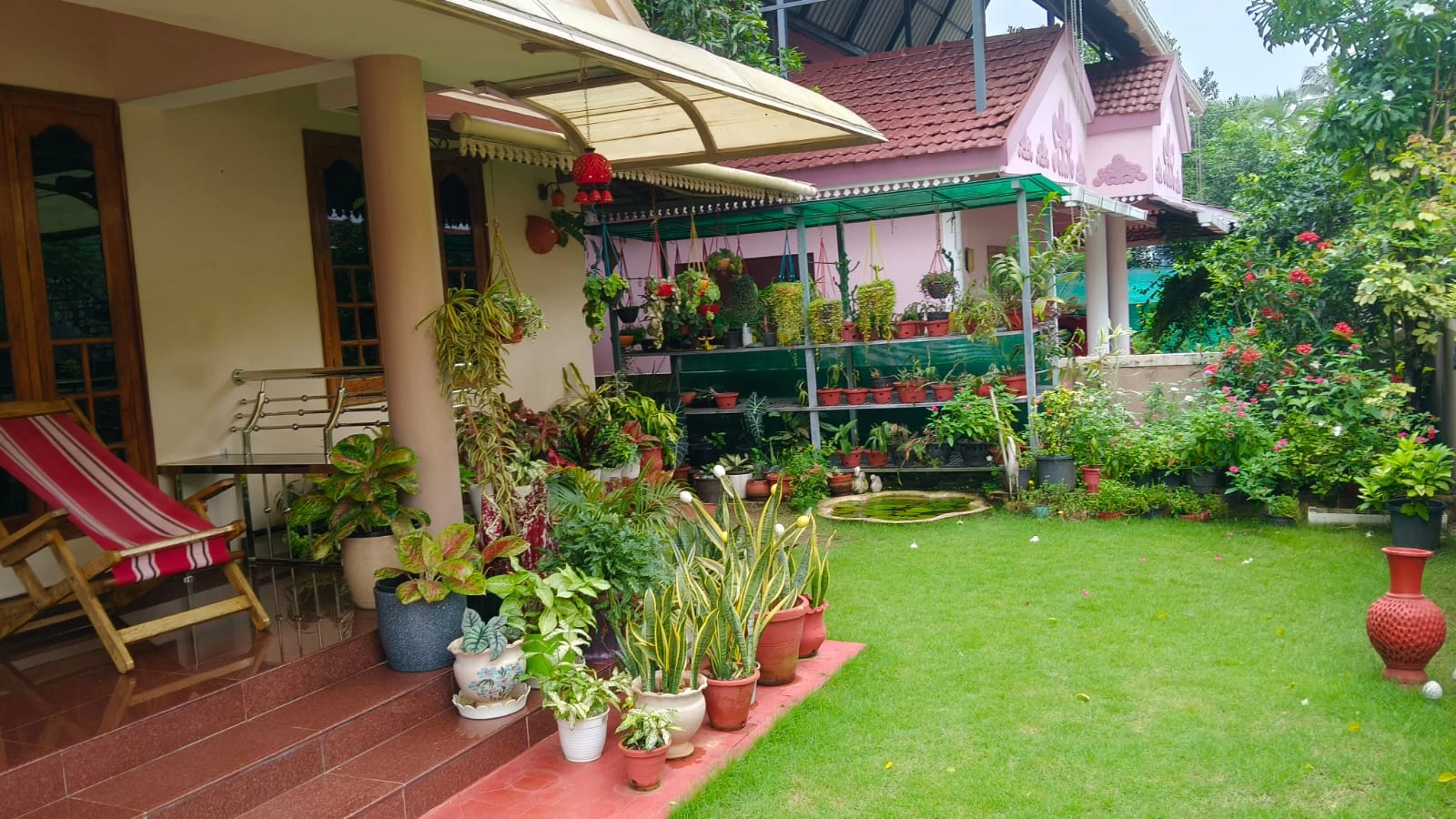 ഒരു പച്ചത്തവളയും കുറെ വ്യഥകളും