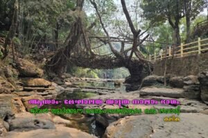 A Living root bridge at Mawlynnong in Meghalaya-India