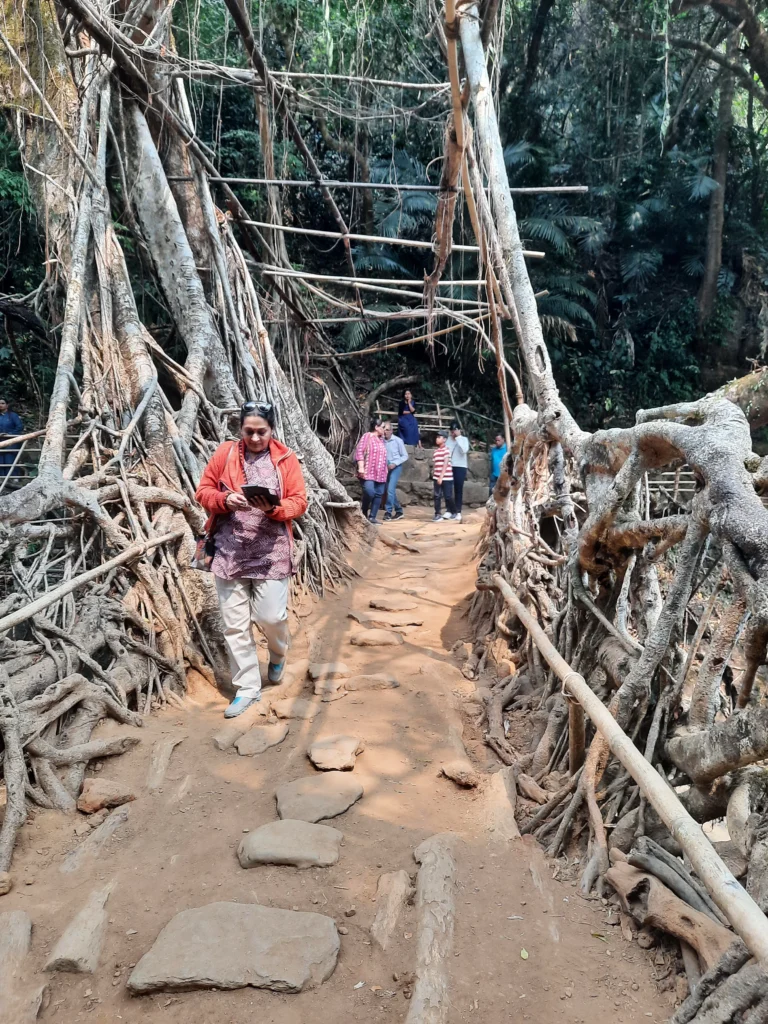 Inside of the Living root bridge at Mawlynnong in Meghalaya