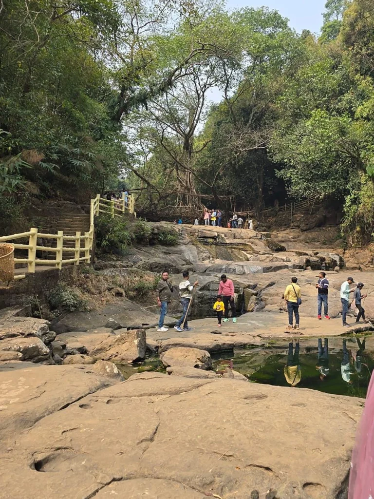 Long view of the Living root bridge at Mawlynnong in Meghalaya