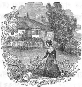 THE HISTORY OF PHULMANI AND KARUNA: Part-1/English Translated Novel by Hana Catherine Mullens The History of Phulmani and Karuna illustration from Bengla version-2