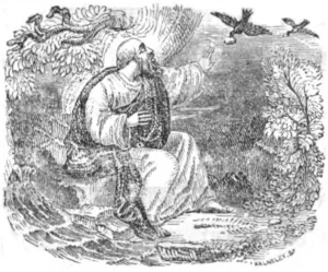 The History of Phulmani and Karuna illustration from Bengla version-4